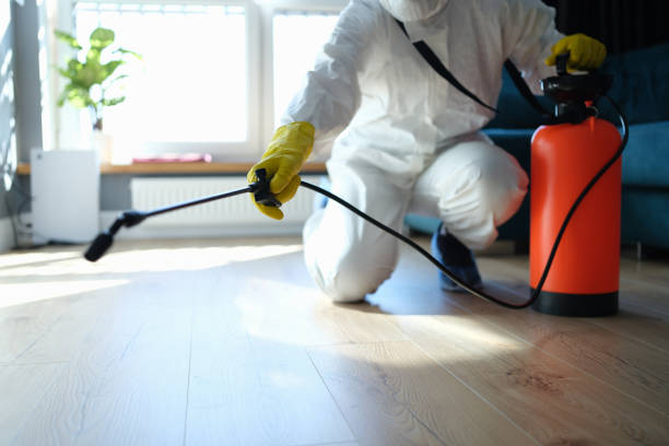Pest Prevention Services in Falls Church, VA