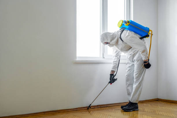  Falls Church, VA Pest Control Pros