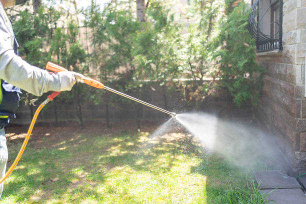 Best Insect Control  in Falls Church, VA