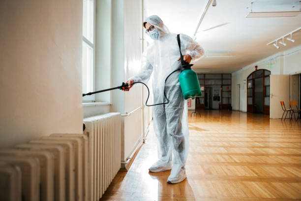 Best Best Pest Control Companies  in Falls Church, VA